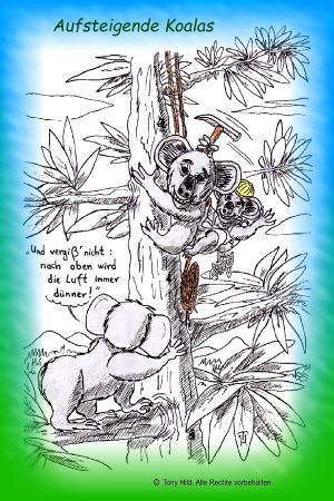 "DIE LUFT WIRD IMMER DÜNNER !" - Tiere mochte ich wohl am liebsten. Diese Karikatur ist ebenfalls schon etwas älter und veröffentliche ich nun zum ersten Mal. Koalas beim Bouldern im Eukalyptuswald. Hoffe, es gefällt ! :)